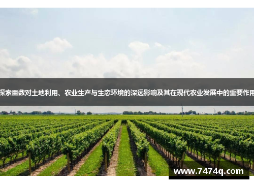 探索亩数对土地利用、农业生产与生态环境的深远影响及其在现代农业发展中的重要作用